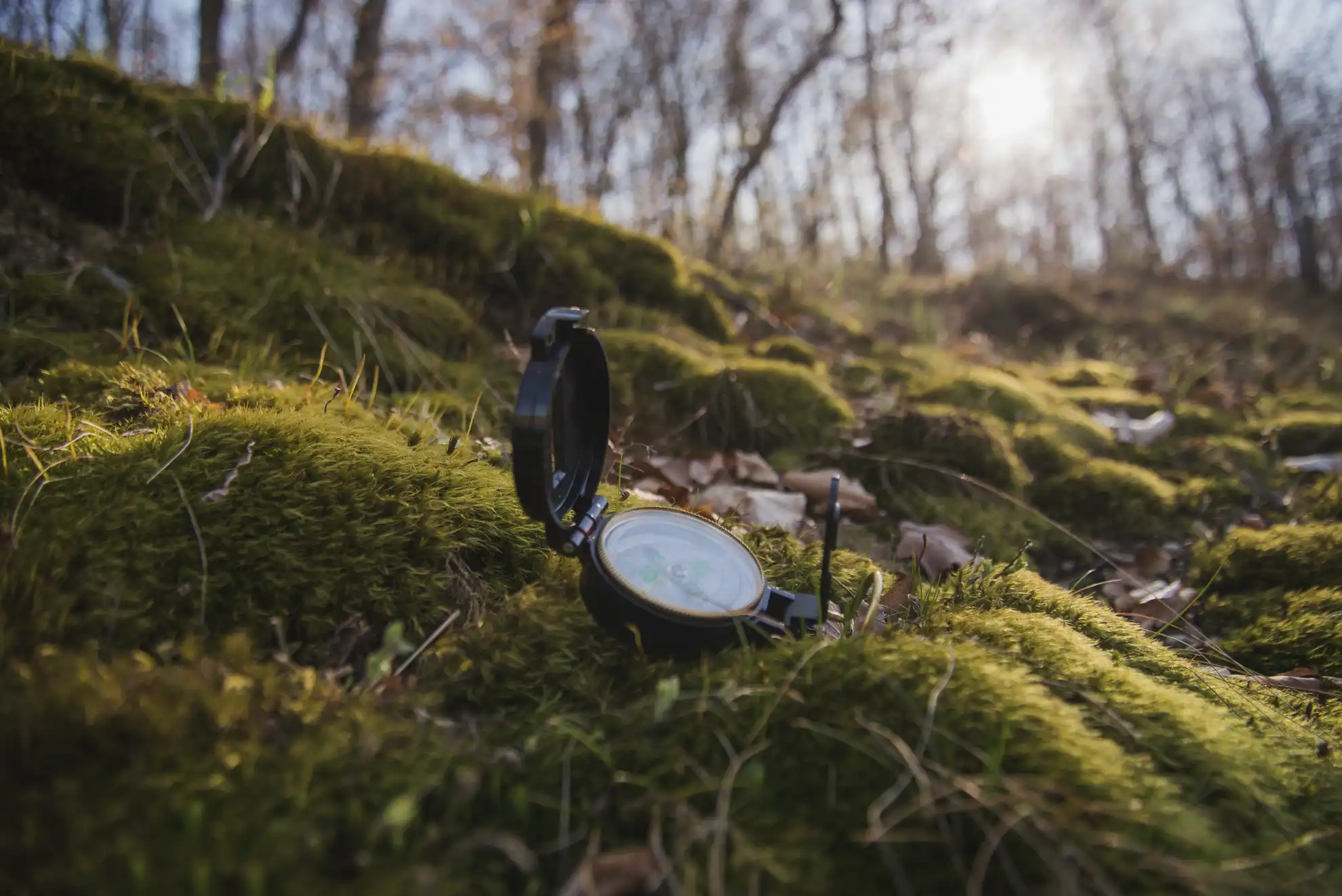 Boussole posée sur un sol couvert de mousse en forêt, illustrant la FAQ dédiée aux formations en systèmes et réseaux informatiques proposées par TeA Formations.