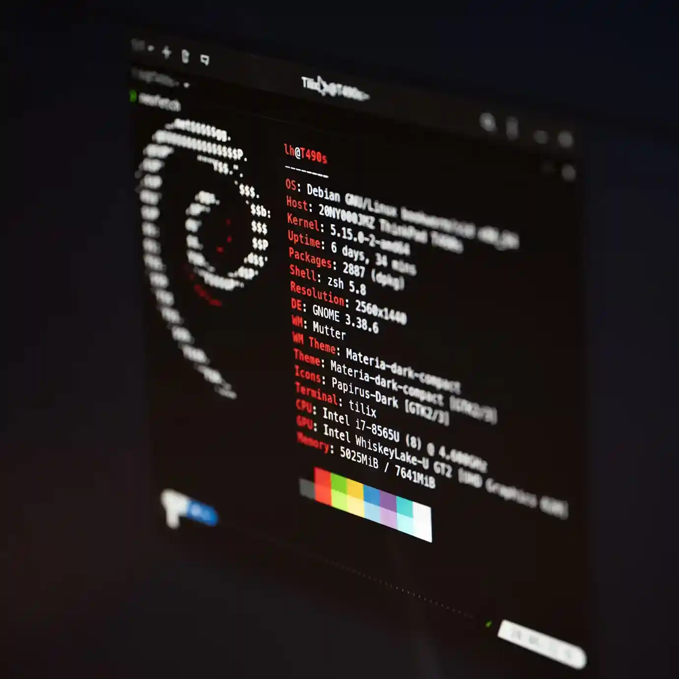 Interface terminal affichant les informations système de Debian GNU/Linux, illustrant un environnement open source
